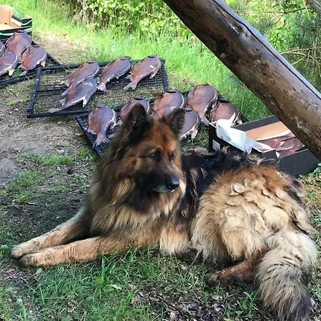 Domek letniskowy Rehe Rootsikula (Tartu)