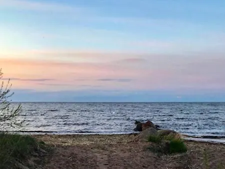 Rehe * Rootsikula (Tartu)
