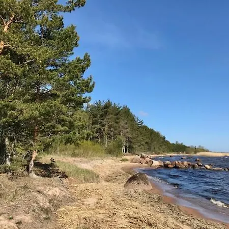 Rehe